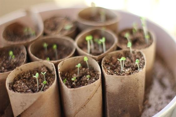 recyclage en rangement pour tube de peinture