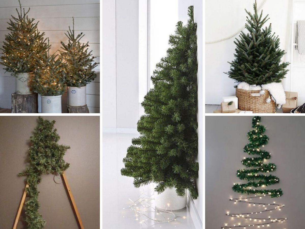 choix de sapins pour petit espace