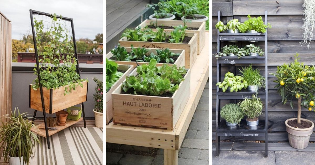 potager sur terrasse